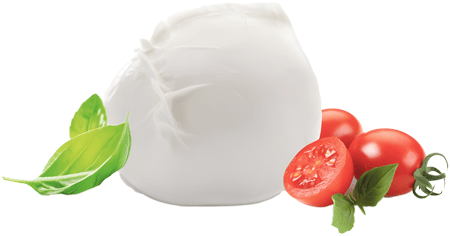 Mozzarella di Bufala Campana DOP